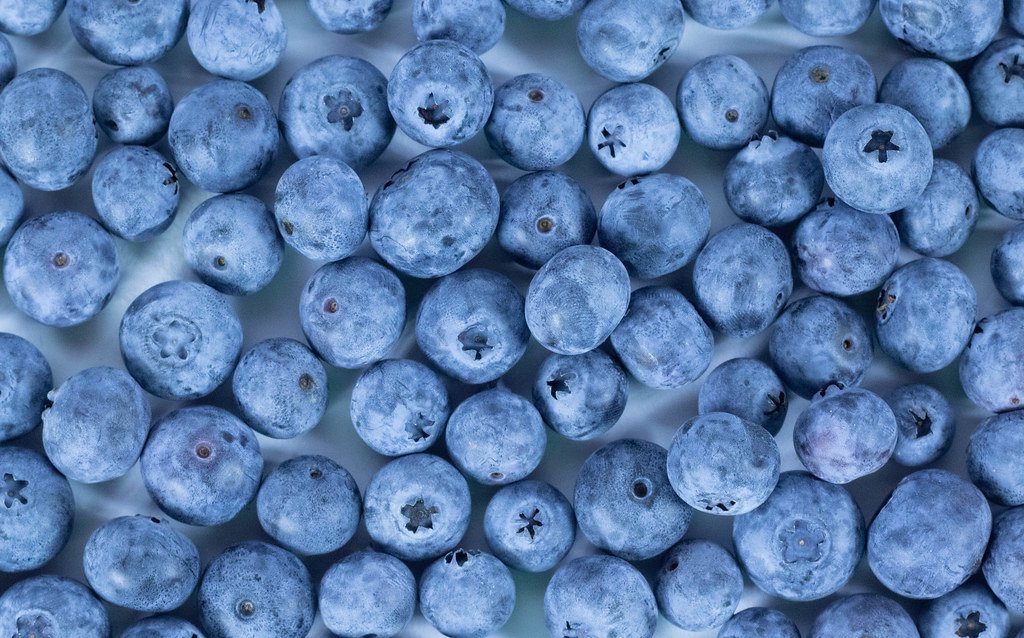How to freeze blueberries