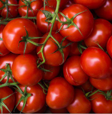 Tomatoes