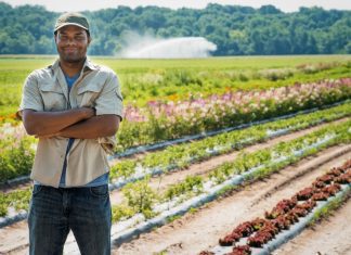 Vegetable Crops: 10 Prime Crops To Sow In Spring Vegetable Crops