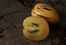 Pepino Melon: Solanum Muricatum Plant Pepino Melon