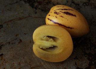 Pepino Melon: Solanum Muricatum Plant Pepino Melon