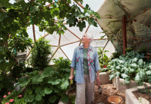 10 Ways To Climate Proof Your Garden Climate Proof Your Garden