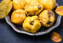 Quinces: How To Grow And 9 Key Steps To Success Quinces