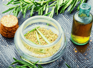 Rosemary Plant: 7 Huge Benefits of Rosemary Tea Rosemary