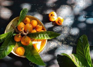 Loquat Tree – 2 Simple Growing And Harvesting Tips Loquat