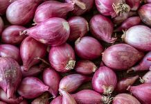 What Is A Shallots? Plus 4 Delicious Recipes What is Shallots