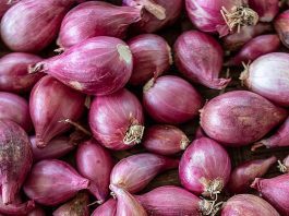 What Is A Shallots? Plus 4 Delicious Recipes What is Shallots