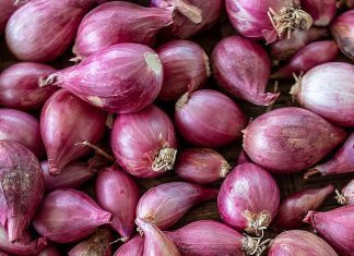What Is A Shallots? Plus 4 Delicious Recipes What is Shallots
