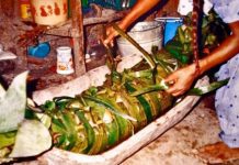 Zacahuil And 3 Extra Delicious Recipes ZACAHUIL