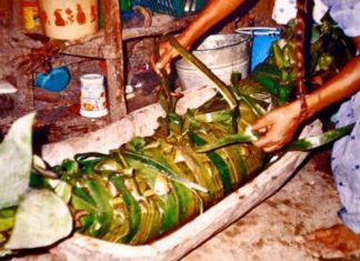 Zacahuil And 3 Extra Delicious Recipes ZACAHUIL