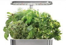 AeroGarden: 4 Tips For Productive Use AeroGarden