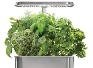 AeroGarden: 4 Tips For Productive Use AeroGarden