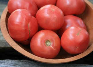 Arkansas Traveler Tomato Care & Grow Tips Arkansas Traveler Tomatoes