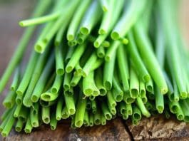 How to Grow, Harvest, and Cook with Fresh Chives (2026 Guide) Chives