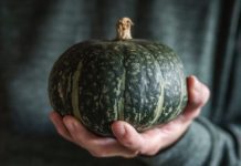 Green Pumpkins: 1 Epic Pumpkin Recipe Green Pumpkins