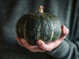 Green Pumpkins: 1 Epic Pumpkin Recipe Green Pumpkins