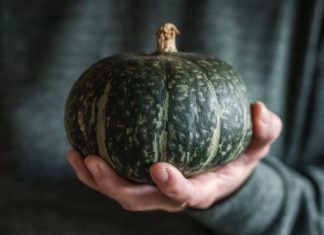 Green Pumpkins: 1 Epic Pumpkin Recipe Green Pumpkins