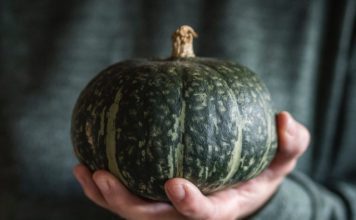 Green Pumpkins: 1 Epic Pumpkin Recipe Green Pumpkins
