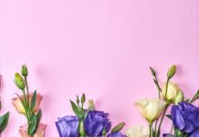 Is Lisianthus an Annual or Perennial? (Seed Growing Guide) Lisianthus