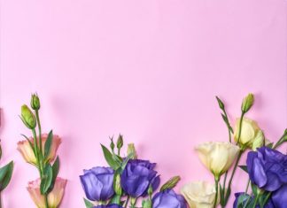 Is Lisianthus an Annual or Perennial? (Seed Growing Guide) Lisianthus