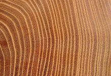 Acacia Wood Furniture And 5 Reasons To Buy It Acacia Wood