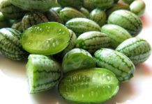 Cucamelons – 1 Odd Food You Can Grow Yourself Cucamelons