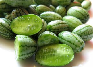 Cucamelons – 1 Odd Food You Can Grow Yourself Cucamelons