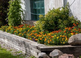 Flower Border How To Design And Create Flower Bed