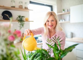 8 Indoor plants: Easy, affordable way to inject colour and life in your home via bathroom plants Indoor Plants