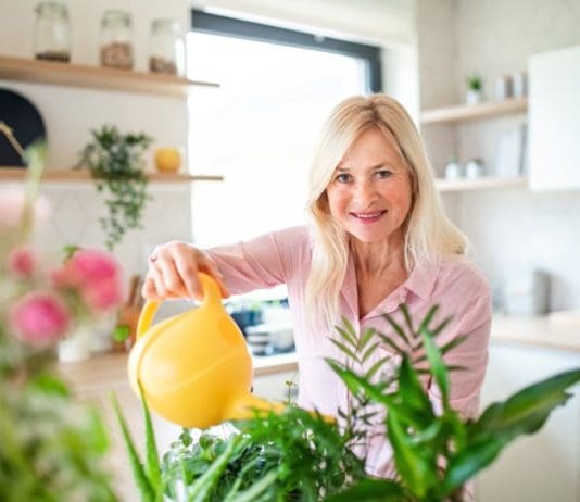 8 Indoor plants: Easy, affordable way to inject colour and life in your home via bathroom plants Indoor Plants