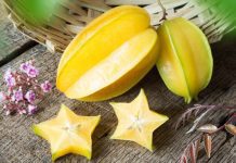Starfruit Fruit Information Plus 1 Delicious Recipe Starfruit