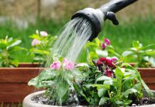 TOP 10 Watering cans ; MAKE dousing plants fun Watering Can