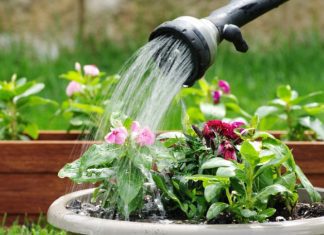 TOP 10 Watering cans ; MAKE dousing plants fun Watering Can