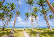 Coconut Tree Growing From Store Bought Coconut, 6 Easy Steps Coconut Tree