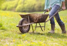 Wheelbarrow 2022: The Best Models You Can Buy Wheelbarrow