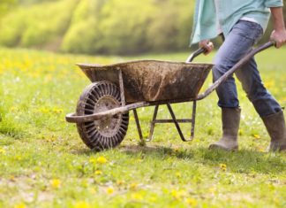 Wheelbarrow 2022: The Best Models You Can Buy Wheelbarrow