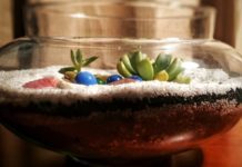 Terrarium Is A 1 Vibrant Little Indoor Garden In A Glass Jar Terrarium