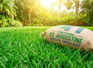 Best Fertilizer for St. Augustine Grass & Monthly Care Calendar (2026) A lush, dark green St. Augustine lawn with a bag of premium fertilizer in the foreground.