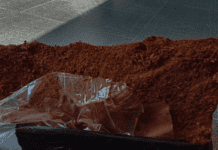 Coco Peat 4 Important Facts You Should Know Coco Peat