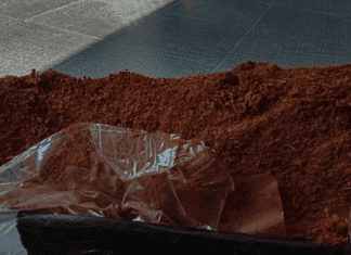 Coco Peat 4 Important Facts You Should Know Coco Peat