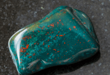 Bloodstone 1 Stone And 1 Gorgeous Plant Bloodstone