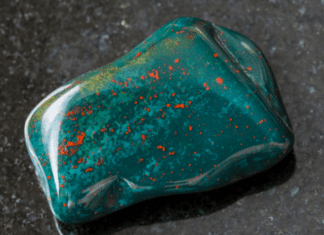 Bloodstone 1 Stone And 1 Gorgeous Plant Bloodstone