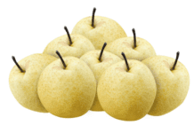 Chojuro And 20 Delicious Wonderful Asian Pear Varieties Chojuro