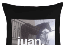 Juan Meme: 1 Horse To Spark Your Living Room Juan Meme
