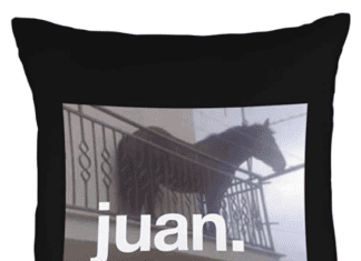 Juan Meme: 1 Horse To Spark Your Living Room Juan Meme