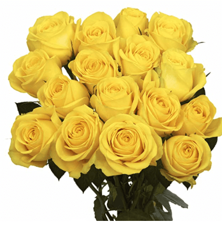 2 Dozen Yellow Roses- Fresh Cut Flowers