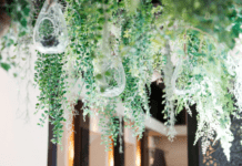 How To Grow Air Plants: Epiphyte Cultivating Air Plants