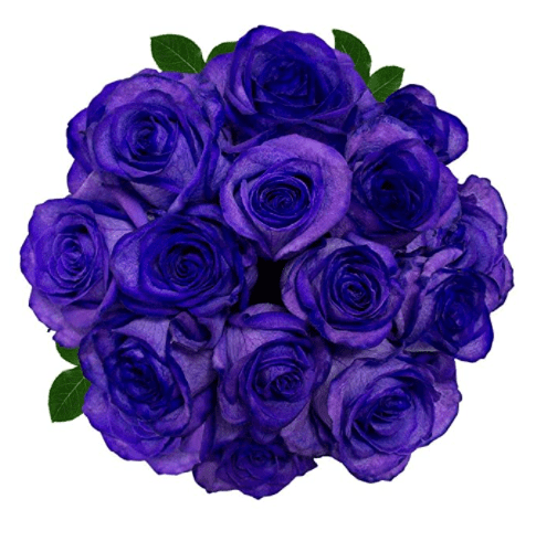 FRESH Tinted Roses Purple 25 stems Meteorite Rose