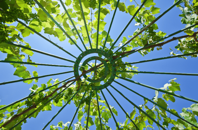 Octagonal Pergola