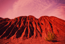 How Long Does It Take For A Tree To Grow How Long Does It Take For A Tree To Grow In Space